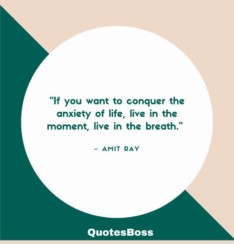 quote about how to live life fully from Amit Ray 